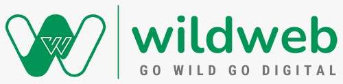 best-digital-marketing-company-in-delhi-wildweb-digital-subimage-0-2026-06-19 12:44:50